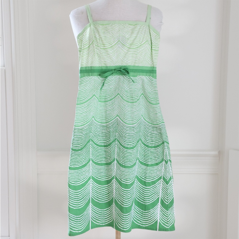 IPSA Anthropologie Green & White Wave Ombré A-Line Dress Size 2